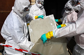Asbestos Safety ASTC